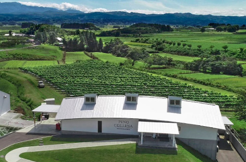 ピノ・コッリーナ松ケ岡ワイナリー