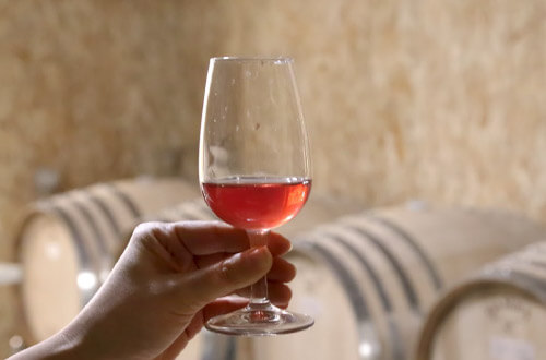 ピノ・コッリーナ松ケ岡ワイナリーのワイン