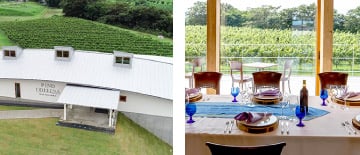 ピノ・コッリーナ