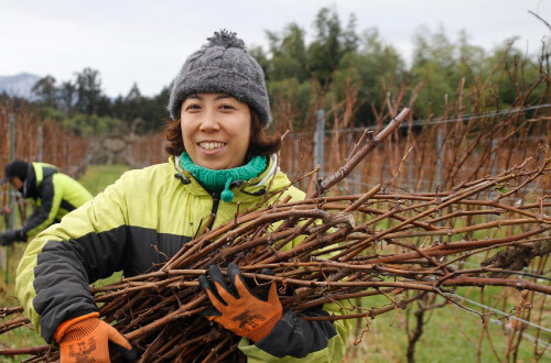 ワイナリー事業